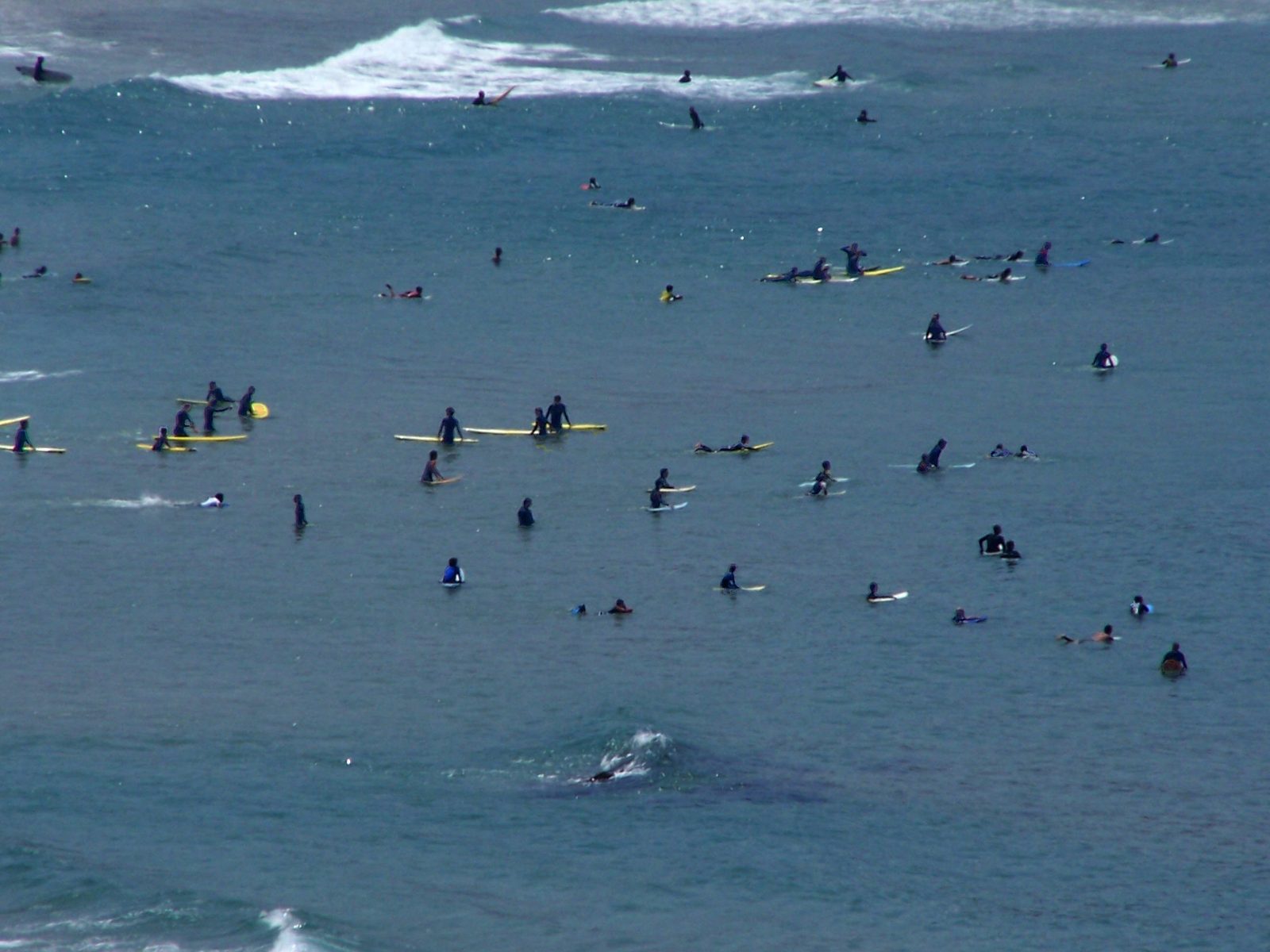 Amado, a beach break in Costa Vicentina, Portugal